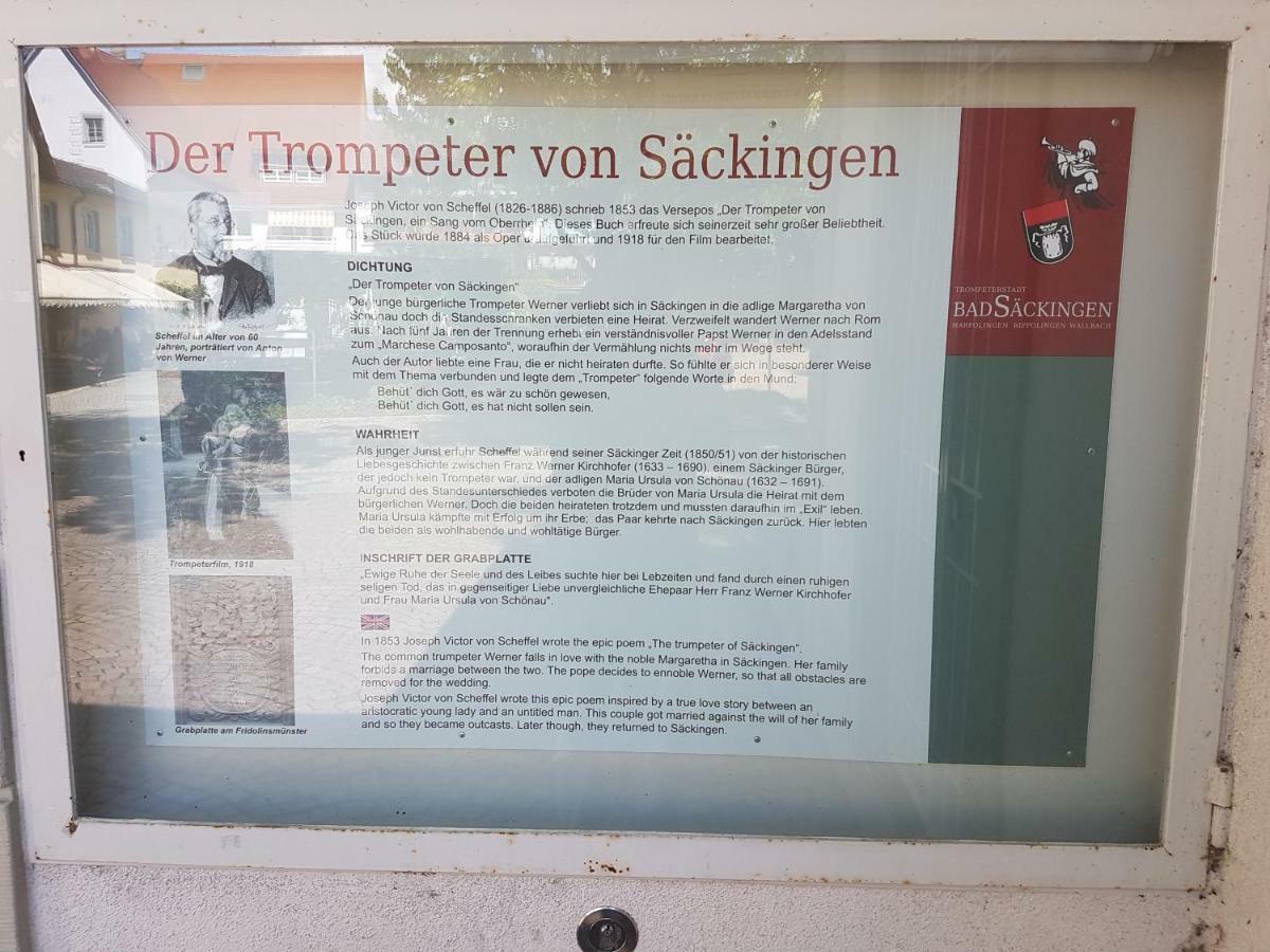 Storchennest Apartment Bad Sackingen Exterior photo